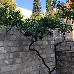 Beachfront Dubrovnik
