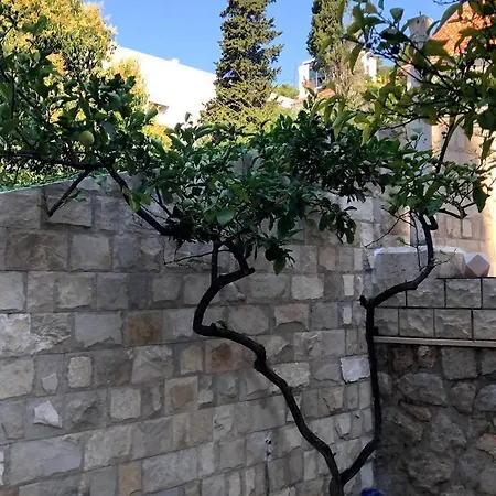 Beachfront Dubrovnik