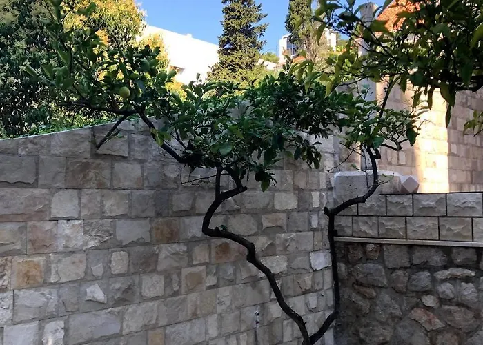 Beachfront Dubrovnik